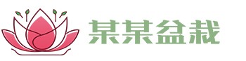 米乐M6(中国)官方网站-IOS/安卓通用版/手机APP下载